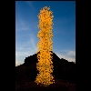 Dale Chihuly