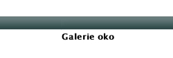 Galerie oko - Japanese Contemporary Art