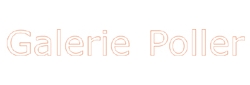 Galerie Poller