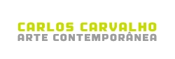 Carlos Carvalho - Arte Contemporânea