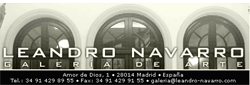 Galería Leandro Navarro