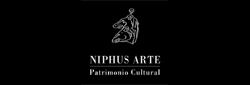 Niphus Arte