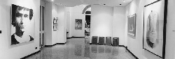 Galleria Marco Canepa