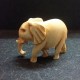 Elefante