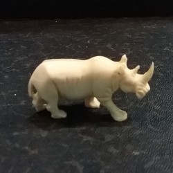 Rhinoceros