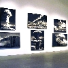 Robert Longo