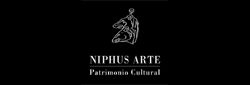Niphus Arte