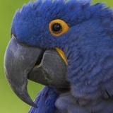 Proces tworzenia stron www