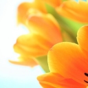 /world/images/cover/group/1745/thumb_8ac0143a786b73629eb078f5c20b1cab.jpg