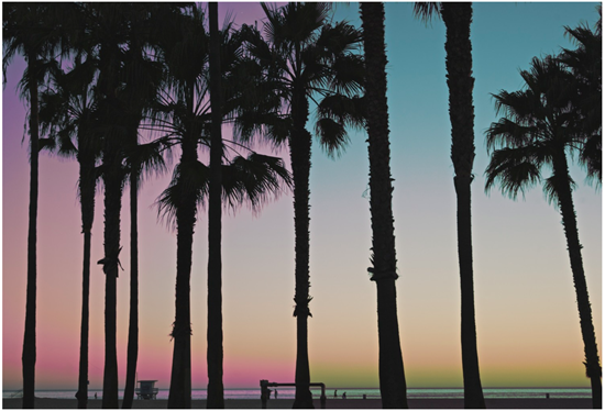 Kino-Acosta-Nature.-Venice-beach-California.png