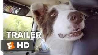 The Stray Trailer #1 (2017) | Movieclips Indie