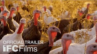 Eating Animals - Official Trailer | HD | Sundance Selects