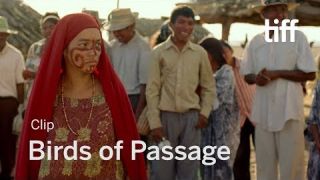 BIRDS OF PASSAGE Clip | TIFF 2018