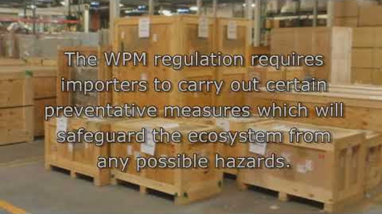 Penalties for Wood Packaging Material Violations
